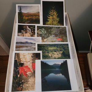 Packet of 8 Notecards - Adirondack Light 2